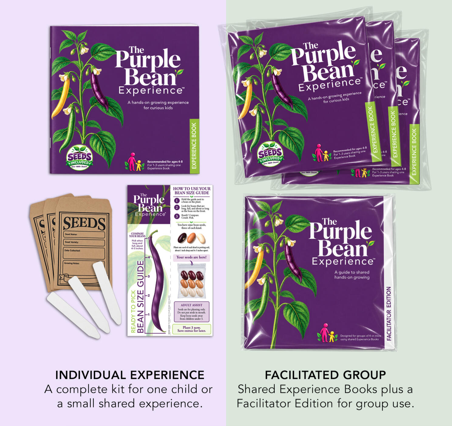 Individual Experience and Facilitated Group The Purple Bean Experience Individual Experience kit beside the Facilitated Group option with shared Experience Books and a Facilitator Edition.